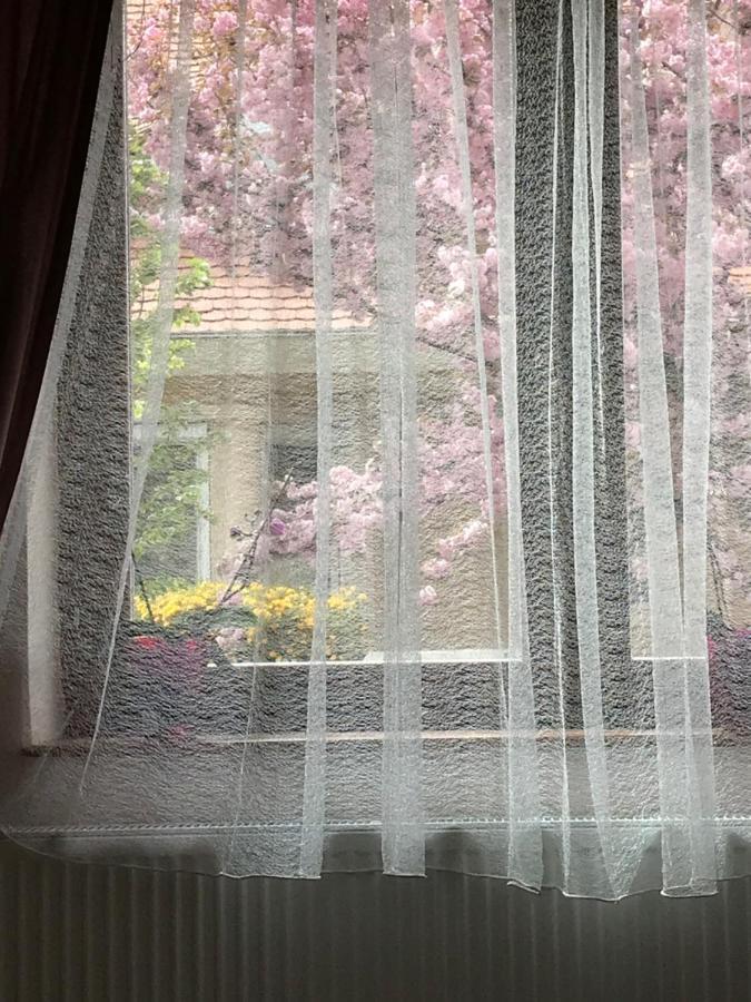 Casa Marherita Appartman Hajdúszoboszló Exteriér fotografie
