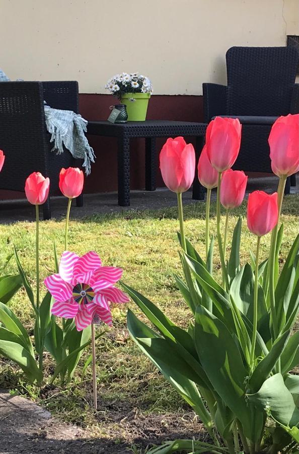 Casa Marherita Appartman Hajdúszoboszló Exteriér fotografie