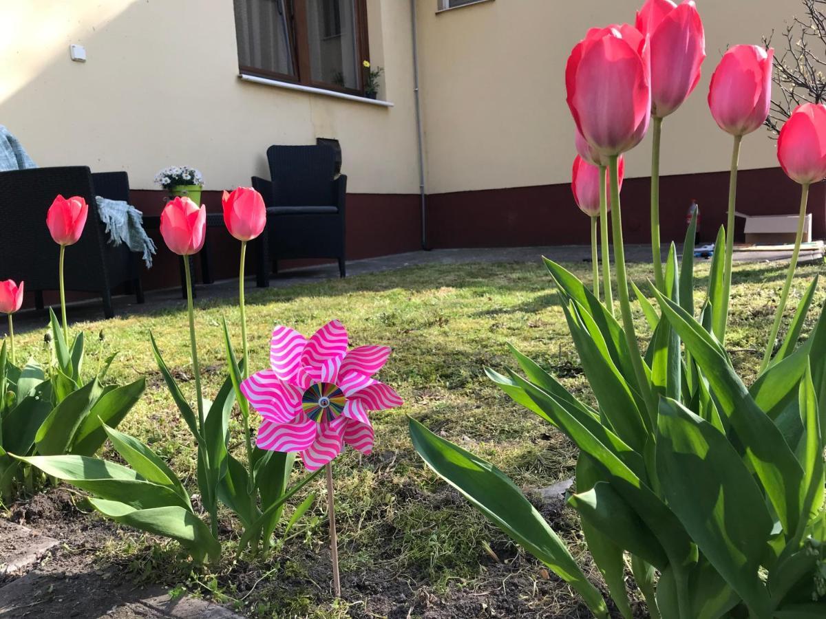 Casa Marherita Appartman Hajdúszoboszló Exteriér fotografie